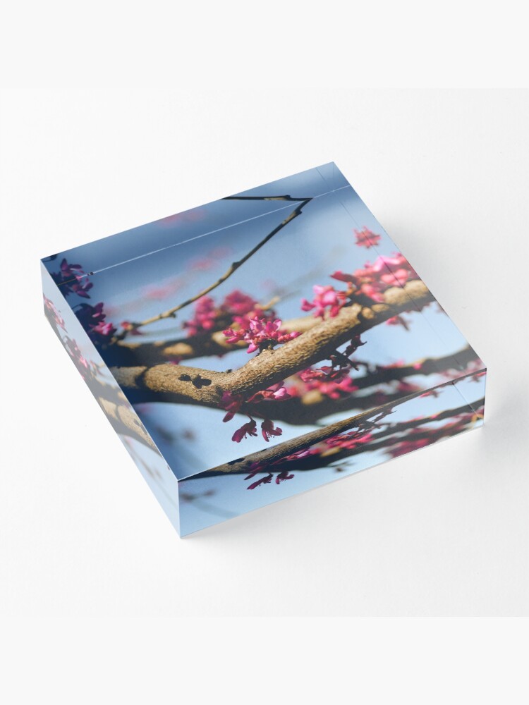 Alternate view of Eastern Redbud Acrylic Block