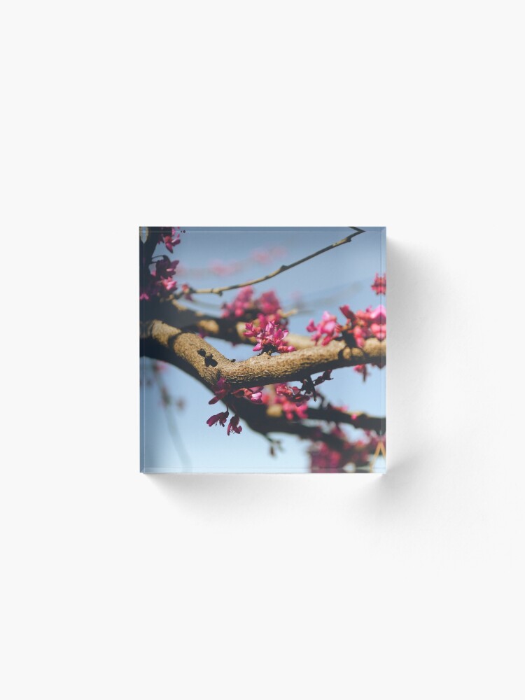 Alternate view of Eastern Redbud Acrylic Block