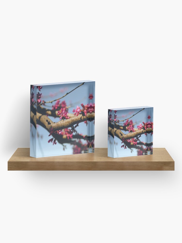 Alternate view of Eastern Redbud Acrylic Block