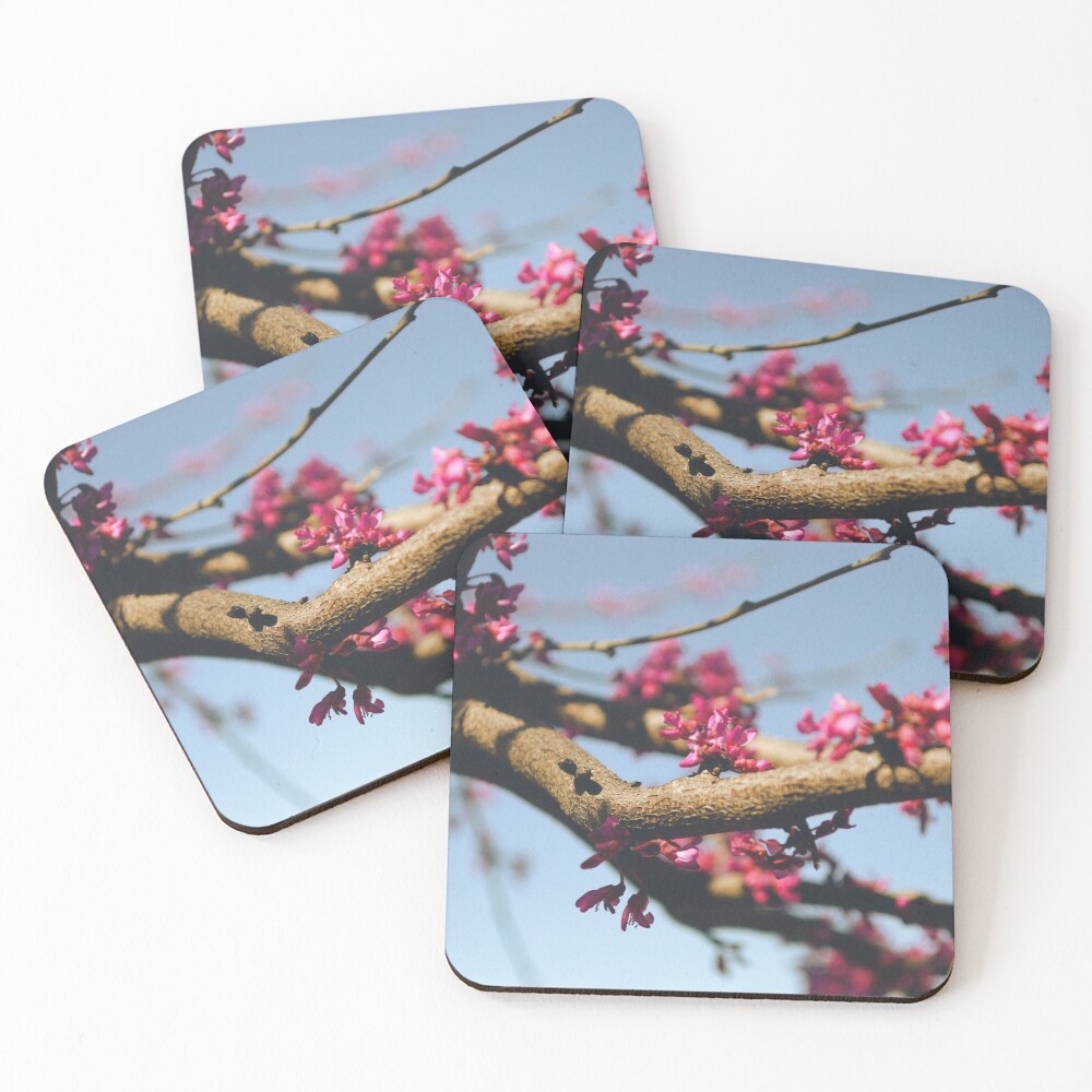 Eastern Redbud Coasters (Set of 4)