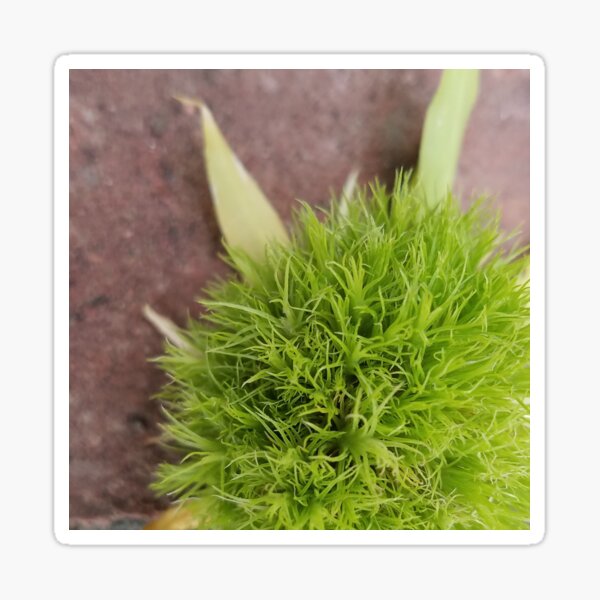 Fluffy Spring Green Detail Sticker