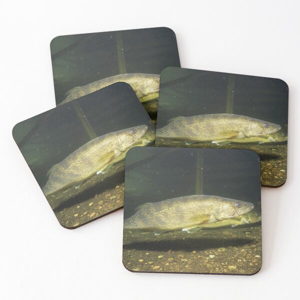 Item preview, Walleye Puzzle Photo designed and sold by sd749.