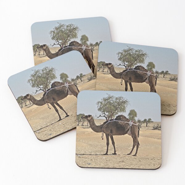 Item preview, Domestic Dromedary Camel Arabian Desert  designed and sold by worldways.