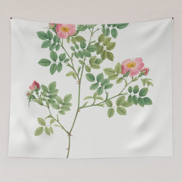 Item preview, Les Roses by Pierre-Joseph Redouté designed and sold by EsotericBotanic.