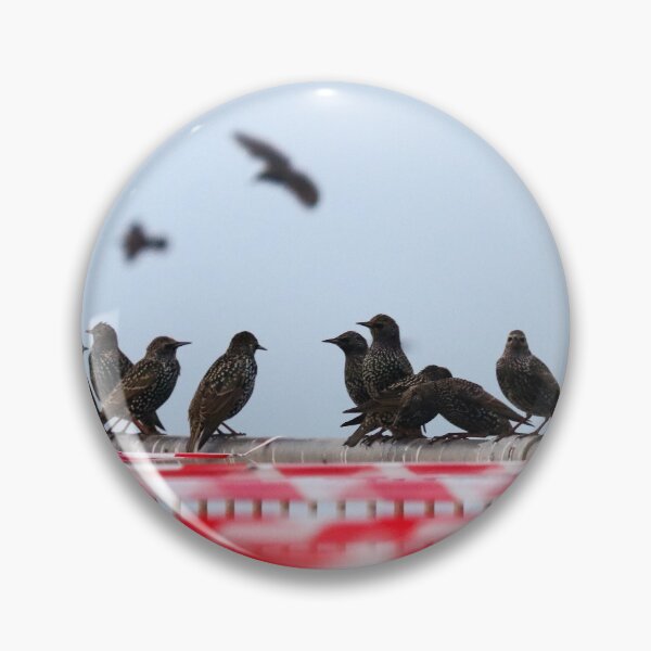 Item preview, Social gathering designed and sold by GreyFeatherPhot.