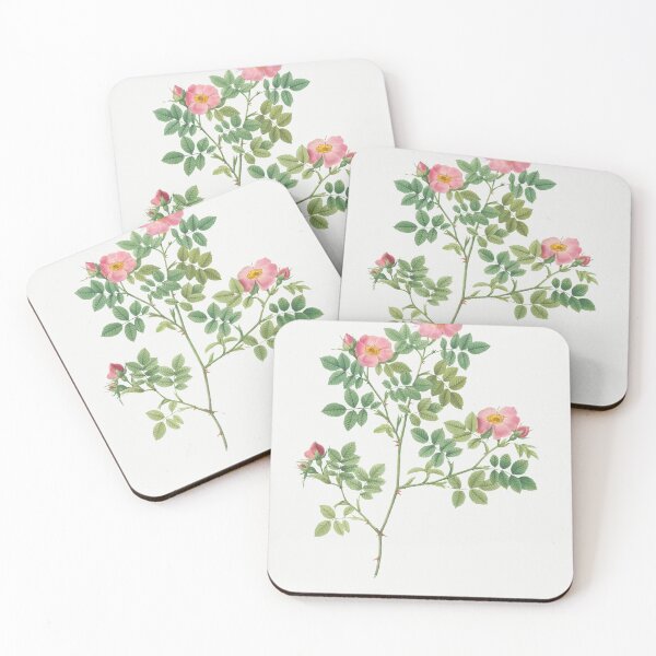 Item preview, Les Roses by Pierre-Joseph Redouté designed and sold by EsotericBotanic.