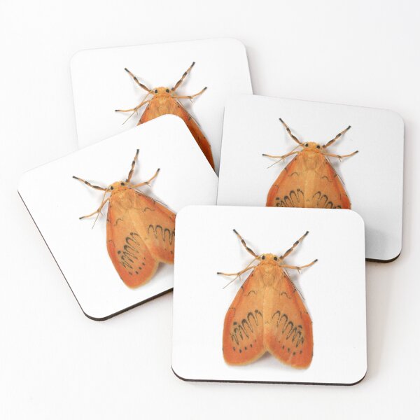Item preview, Rosy Footman Moth designed and sold by Warren  Photographic.