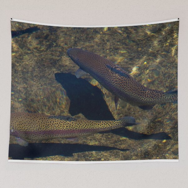 Item preview, Rainbow Trout In River designed and sold by sd749.