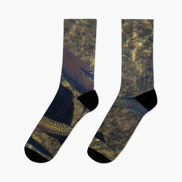Item preview, Rainbow Trout In River designed and sold by sd749.