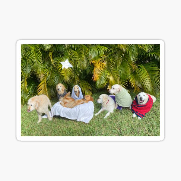 Item preview, Golden Ratio Nativity designed and sold by thegoldenratio4.