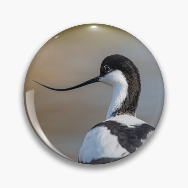 Item preview, Avocet designed and sold by dvlcom.