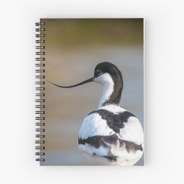 Item preview, Avocet designed and sold by dvlcom.