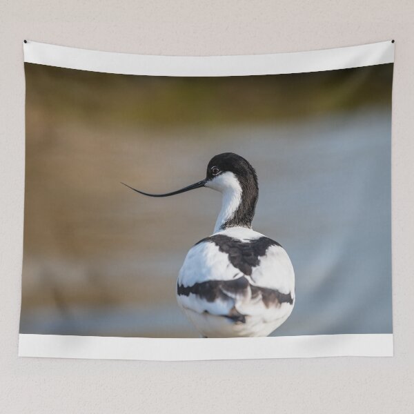 Item preview, Avocet designed and sold by dvlcom.