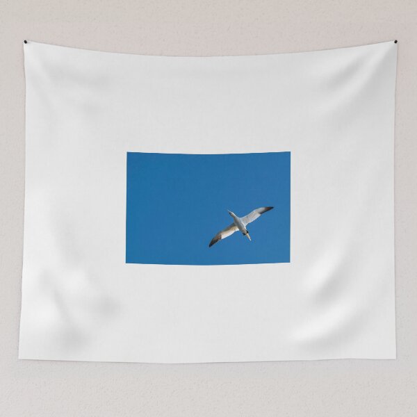 Item preview, Gannet in flight designed and sold by dvlcom.