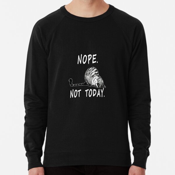 Not today new arrivals cat sweater