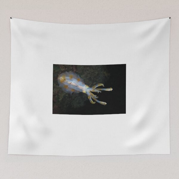 Item preview, Common Squid Hunting at Night designed and sold by dvlcom.