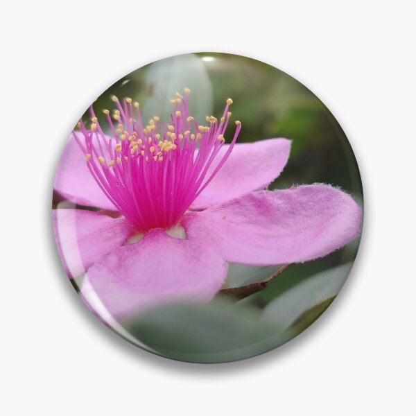 Item preview, A macro photo of a wonderful flower designed and sold by AhMath.