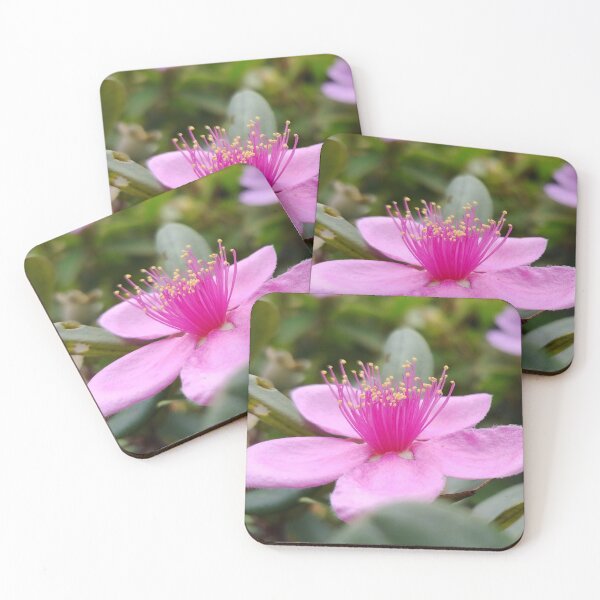 Item preview, A macro photo of a wonderful flower designed and sold by AhMath.