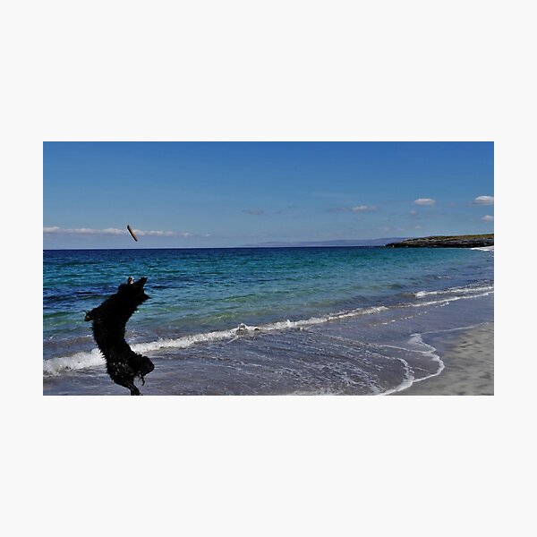 Madra Inis Oirr Photographic Print