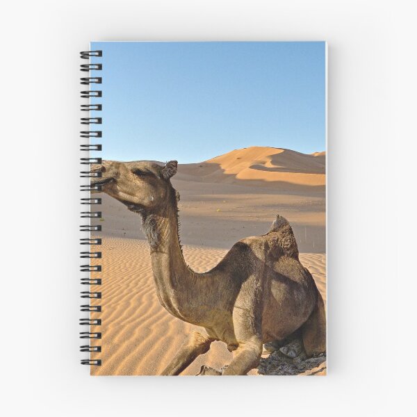 Item preview, Dromedary Camel  Mother and Calf Arabian Desert Dunes designed and sold by worldways.
