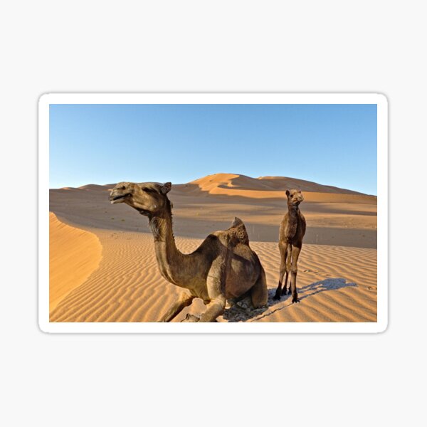 Item preview, Dromedary Camel  Mother and Calf Arabian Desert Dunes designed and sold by worldways.