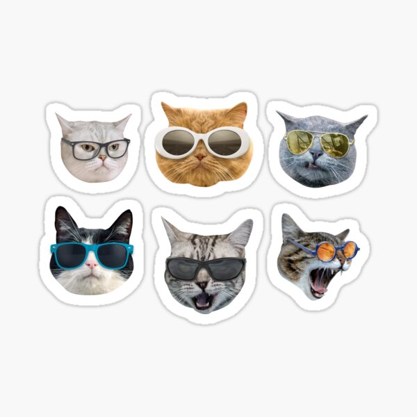 "Cats in Glasses Pack Clout Goggles / Deal with it Meme" Sticker for