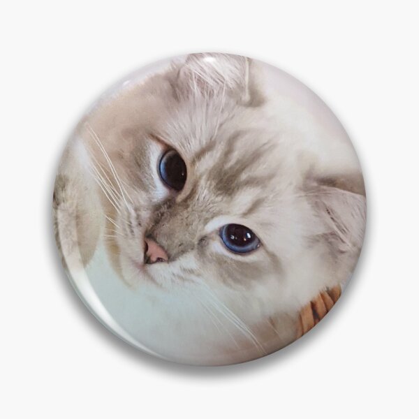 Item preview, Saoirse ragdoll designed and sold by Fluffycat2020.