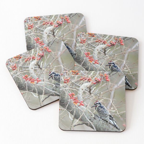 Item preview, Woodpecker designed and sold by Maureen Zaharie.