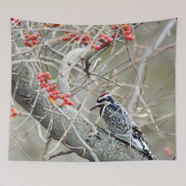 Item preview, Woodpecker designed and sold by Maureen Zaharie.