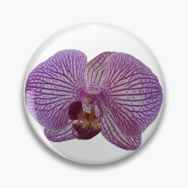 Item preview, single orchid designed and sold by Millerstef.