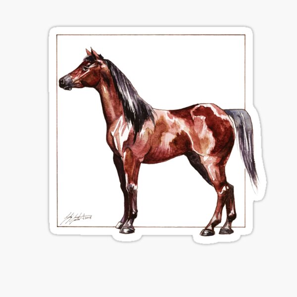 Aperçu de l'œuvre cheval bai créée et vendue par hoof-prints.