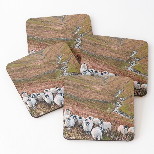 Item preview, Ovejas Swaledale en Weardale designed and sold by Martyn R Arnold Fine Art Nature & Landscape Photography.