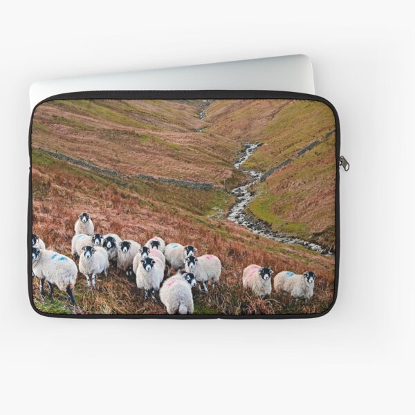 Item preview, Swaledale Sheep in Weardale designed and sold by Martyn R Arnold Fine Art Nature & Landscape Photography.