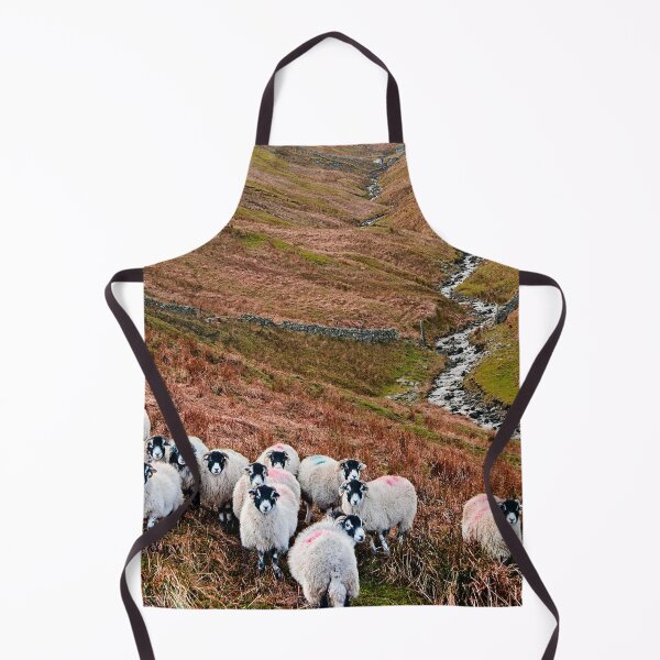 Item preview, Swaledale Sheep in Weardale designed and sold by Martyn R Arnold Fine Art Nature & Landscape Photography.