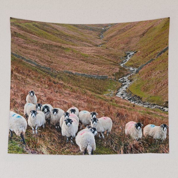 Item preview, Swaledale Sheep in Weardale designed and sold by Martyn R Arnold Fine Art Nature & Landscape Photography.
