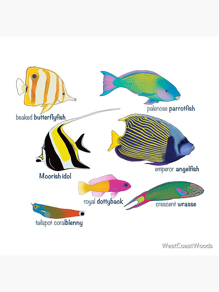 Colourful reef fish species Tote Bag for Sale by WestCoastWoods