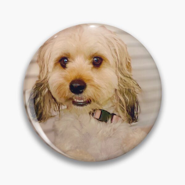 Item preview, Cavapoo Stella designed and sold by SusanneFerrante.