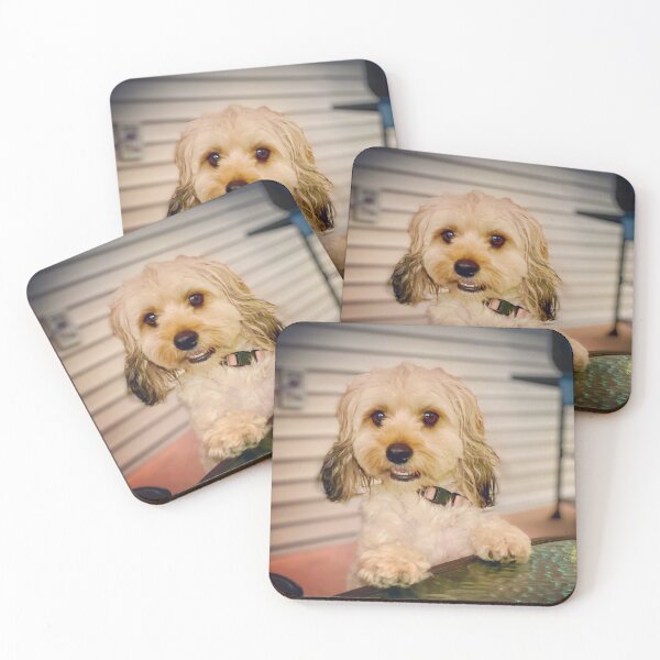 Item preview, Cavapoo Stella designed and sold by SusanneFerrante.