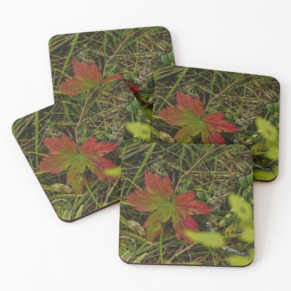 Item preview, fallen leaf designed and sold by Bizarro23.