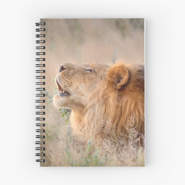 Item preview, Roar of the Kalahari designed and sold by Owed To Nature.