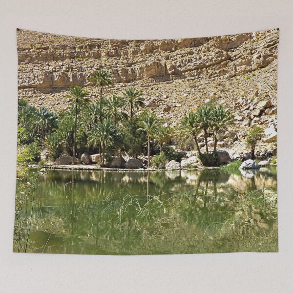 Item preview, Desert Oasis Lake Palm Trees Landscape, Oman designed and sold by worldways.