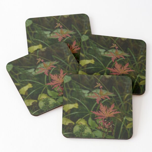 Item preview, forest greenery designed and sold by Bizarro23.