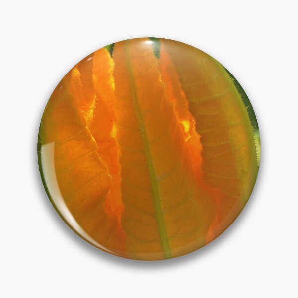 Item preview, Zucchini Flower designed and sold by SusanneFerrante.