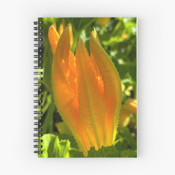 Item preview, Zucchini Flower designed and sold by SusanneFerrante.