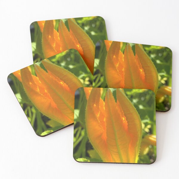 Item preview, Zucchini Flower designed and sold by SusanneFerrante.