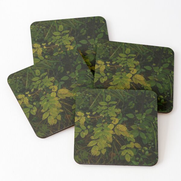 Item preview, forest greenery designed and sold by Bizarro23.
