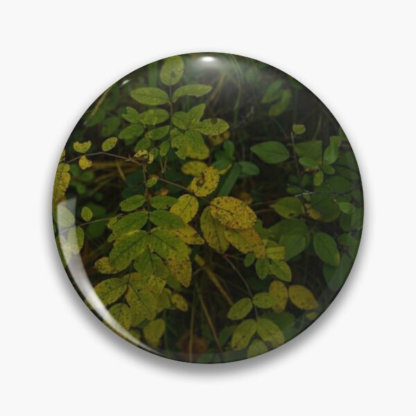 Item preview, forest greenery designed and sold by Bizarro23.