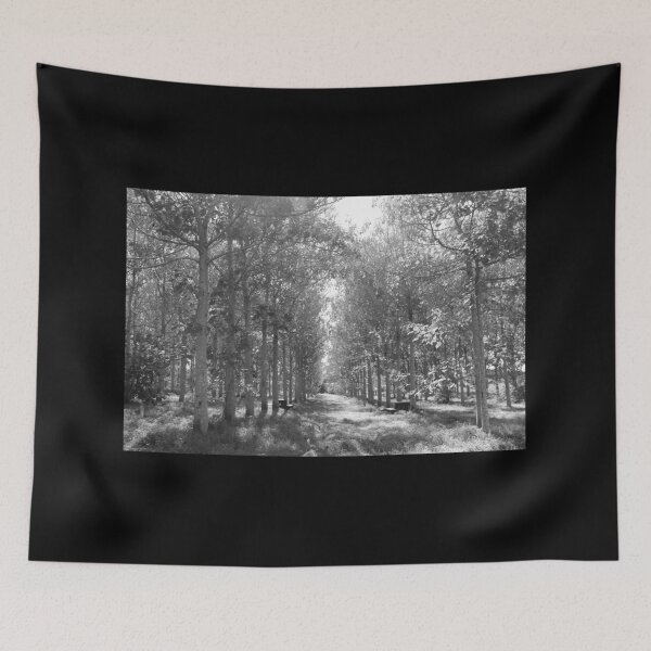 Item preview, Black and white woods, Black and white, Woods, Forest,  designed and sold by PicsByMi.