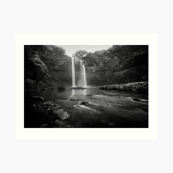 In the Rain - Kauai Art Print