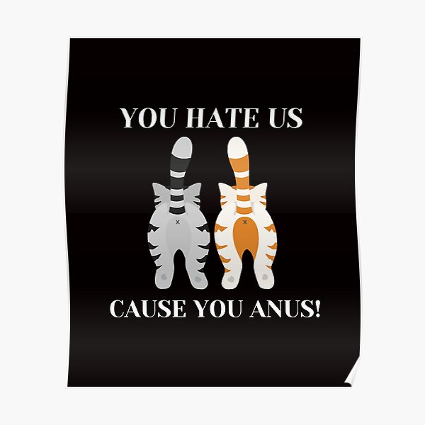 You Hate Us Cause You Anus Kitty Cat Butt Poster
